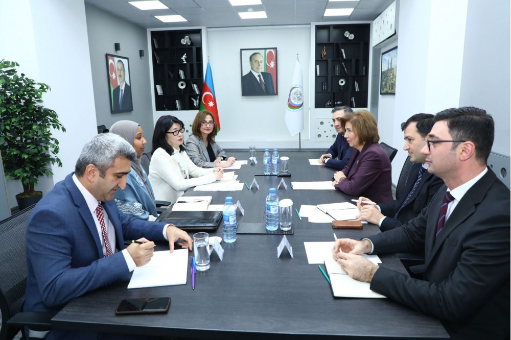 Bahar Muradova və BMT-nin Qadınlar üzrə Agentliyinin nümayəndəsi arasında əməkdaşlıq imkanları müzakirə edilib