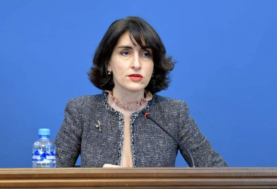 Gürcüstan XİN rəhbəri: Avronest Gürcüstana istiqamət göstərə bilməz