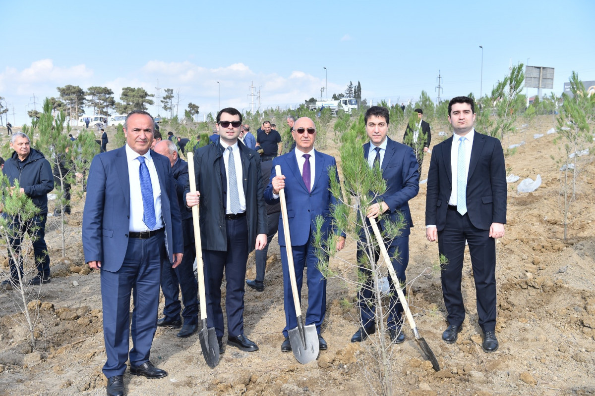 Zəfər Günü münasibətilə ADSEA tərəfindən ağacəkmə aksiyası təşkil olunub