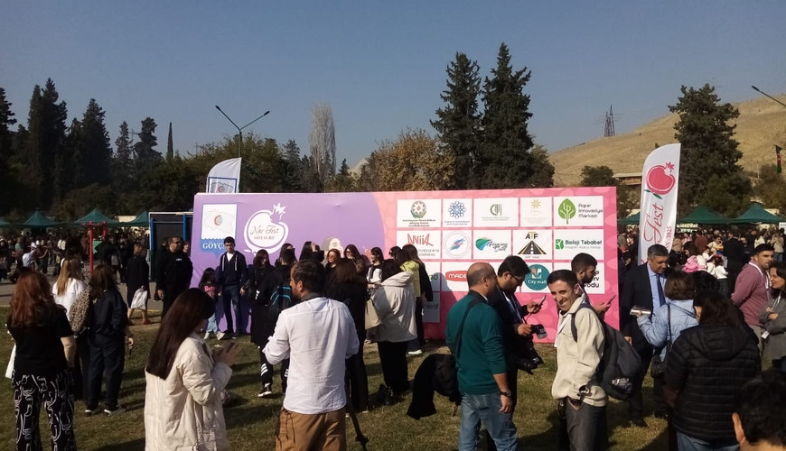 Göyçay şəhərində ənənəvi "Nar Festivalı" keçirilib