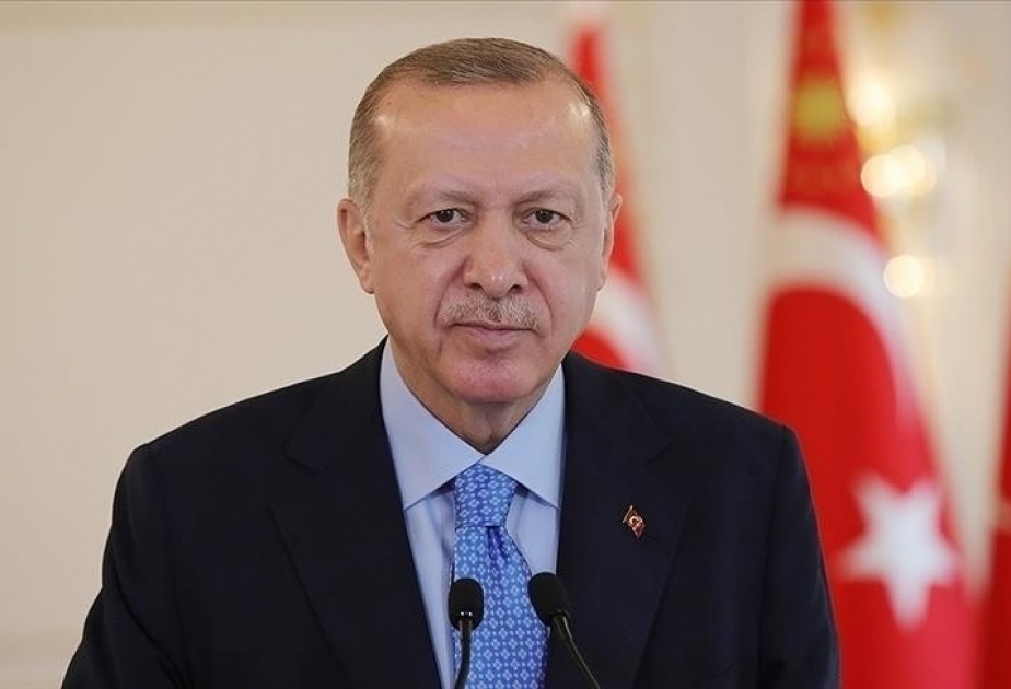 Ərdoğan: Gürcüstanda qəzaya uğrayan hərbi təyyarənin “qara qutusu” tapılıb