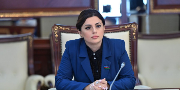 Pərvanə Vəliyeva: Azərbaycan–Laos münasibətləri yeni əməkdaşlıq mərhələsinə qədəm qoyur
