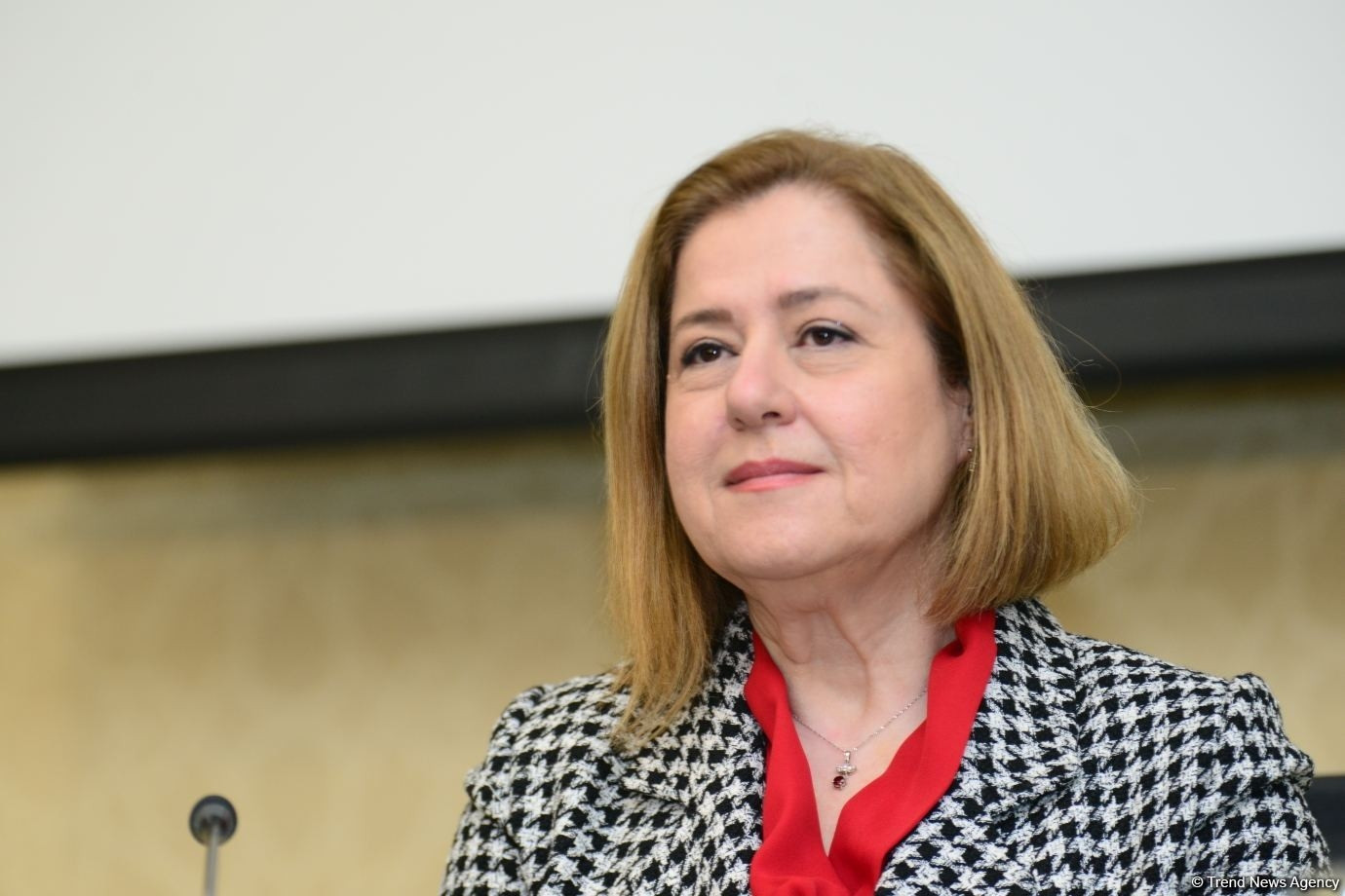 ÜST: BMT–Azərbaycan tərəfdaşlığı rəqəmsal və innovativ həllərə diqqəti artırır