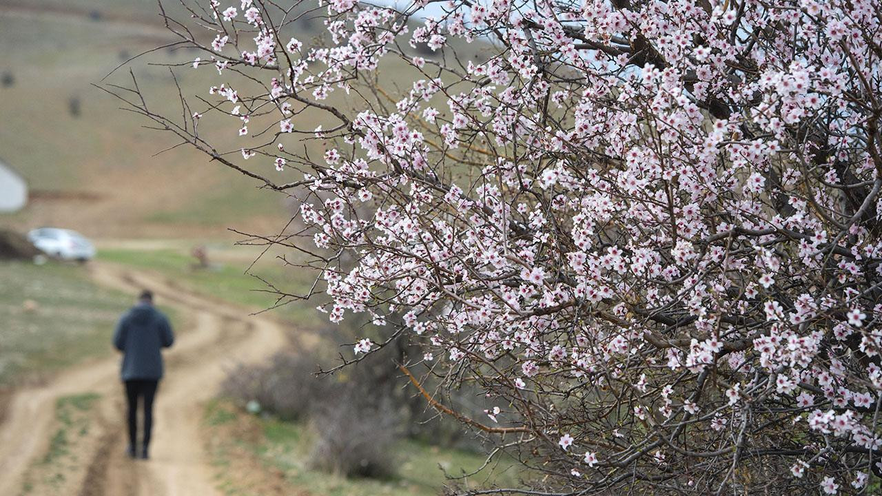 Qışın ortasında bahar havası...- Sağlamlığa və psixologiyaya təsirləri