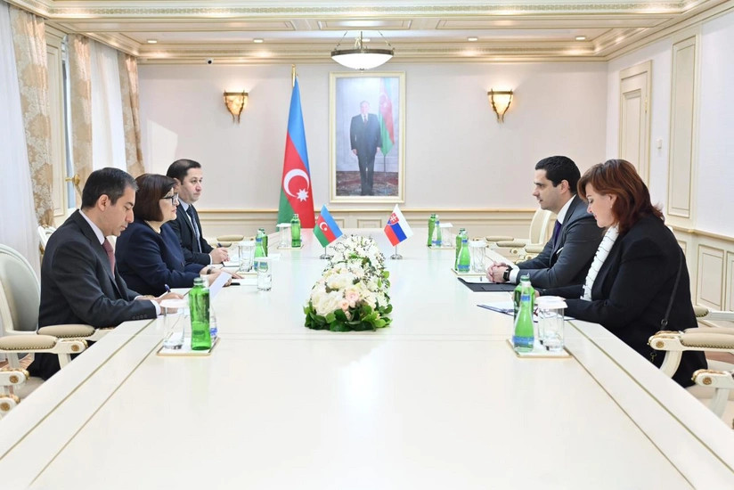 Azərbaycan və Slovakiya parlamentləri arasında əlaqələrin inkişafı müzakirə olunub