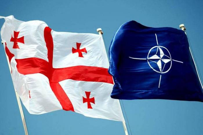Gürcüstan NATO-ya üzvlük üçün hər şeyi edib, qərar indi Alyansın əlindədir — Papuaşvili