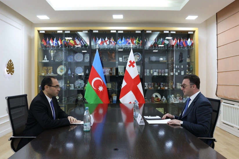 Gürcü nazir: Azərbaycanın ağıllı kənd modeli təcrübəsinin öyrənilməsində maraqlıyıq