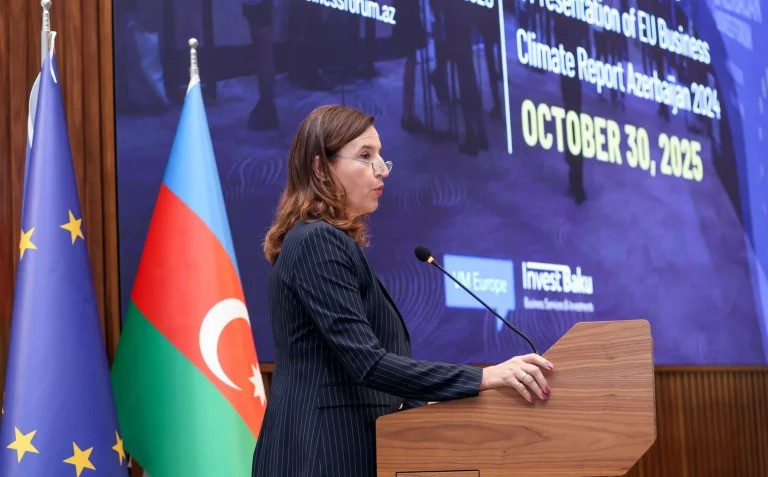 Aİ-nin Azərbaycandakı səfiri: Gender əsaslı zorakılıq ciddi hüquq pozuntusudur