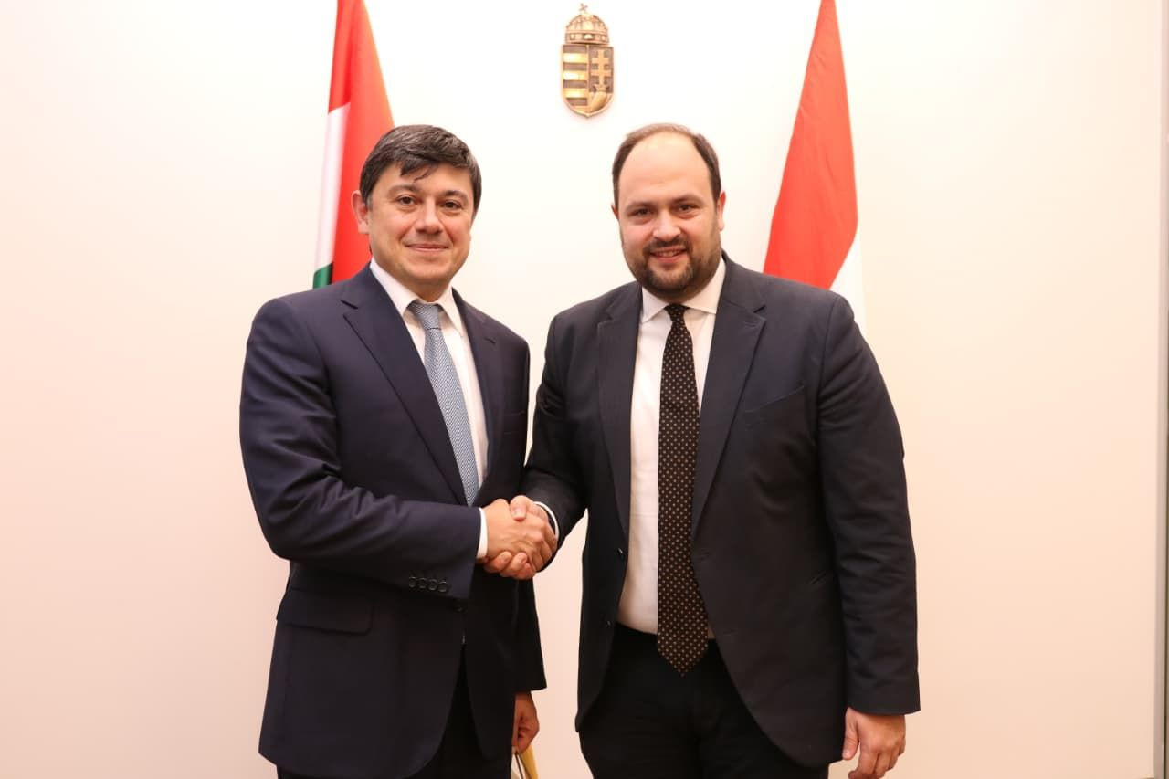 Macarıstanın Milli siyasət üzrə dövlət katibi ilə diaspor sahəsində əməkdaşlıq müzakirə olunub