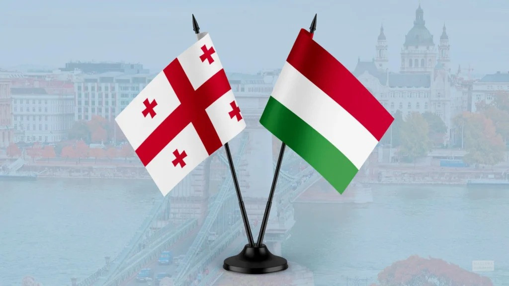 Macarıstan Gürcüstanın müdafiəsinə qalxdı