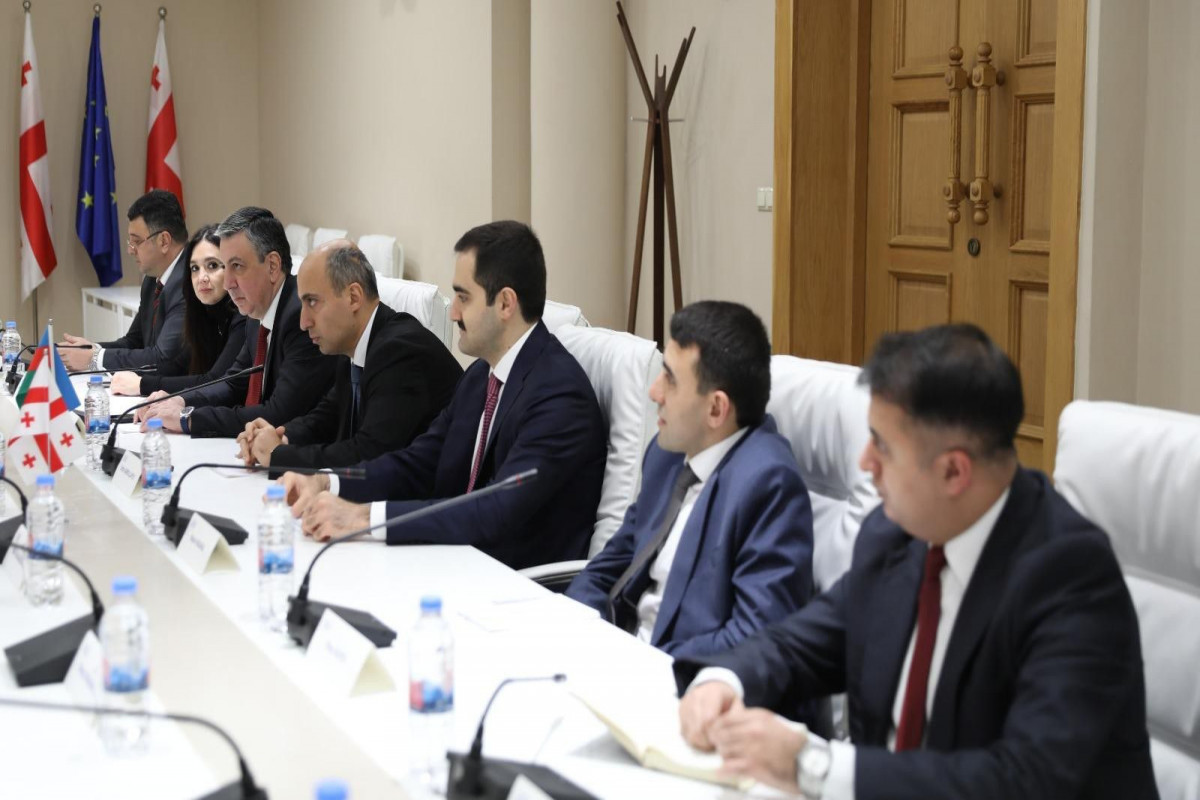 Emin Əmrullayev Gürcüstanda rəsmi səfərdədir
