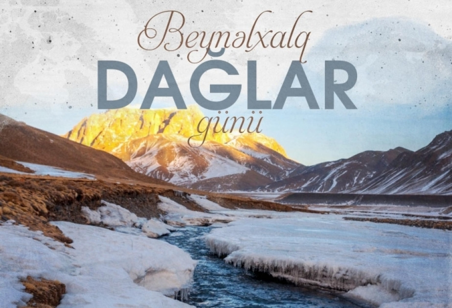 11 dekabr –