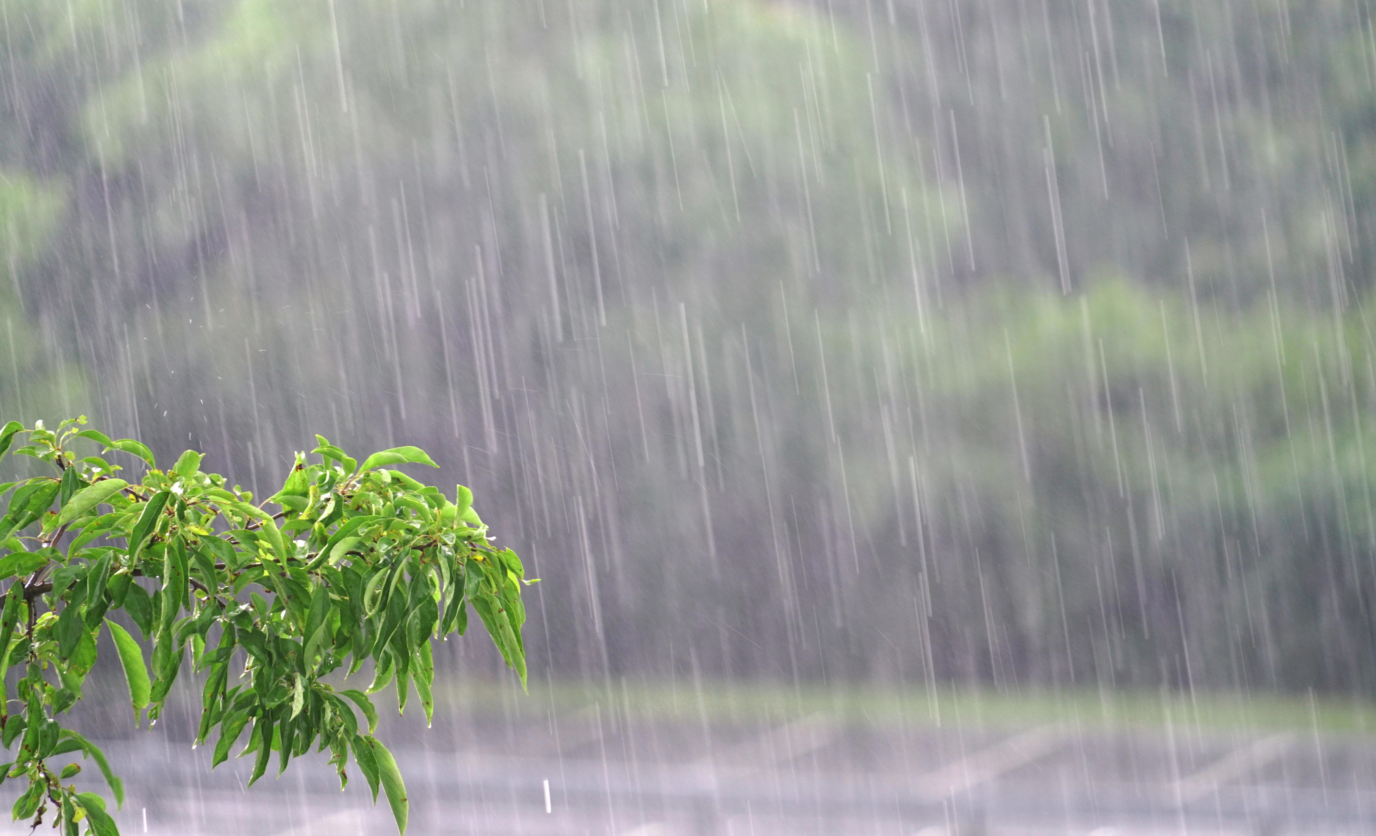Sabahdan temperatur enəcək -