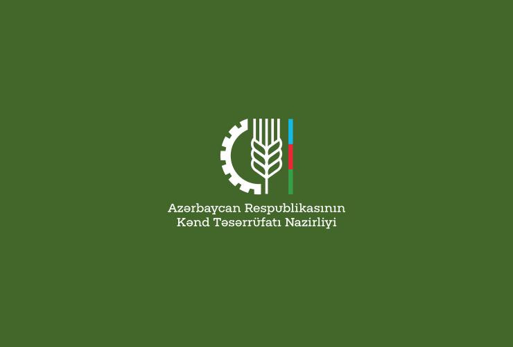 Azərbaycanda balıqçılıq sahəsinə xüsusi dövlət dəstəyi göstəriləcək