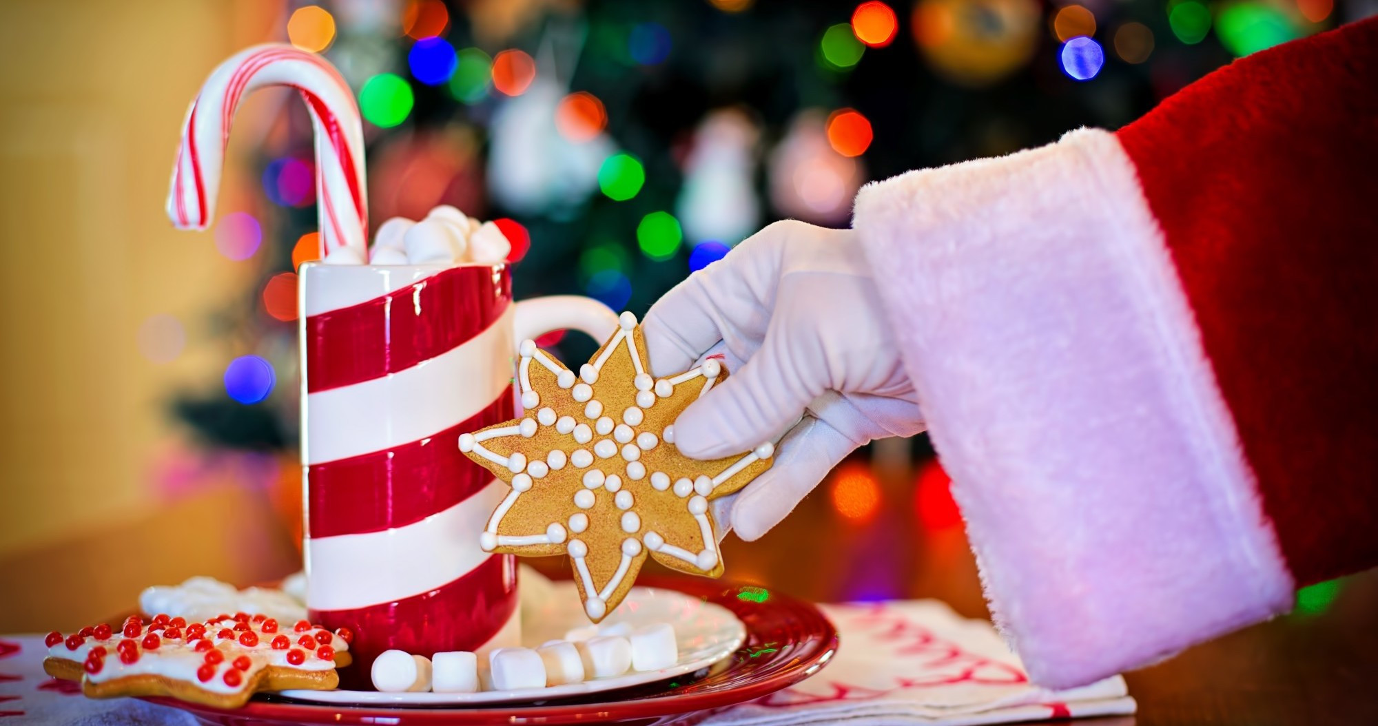Milonov “Gizli Santa” oyununu kəskin tənqid edib