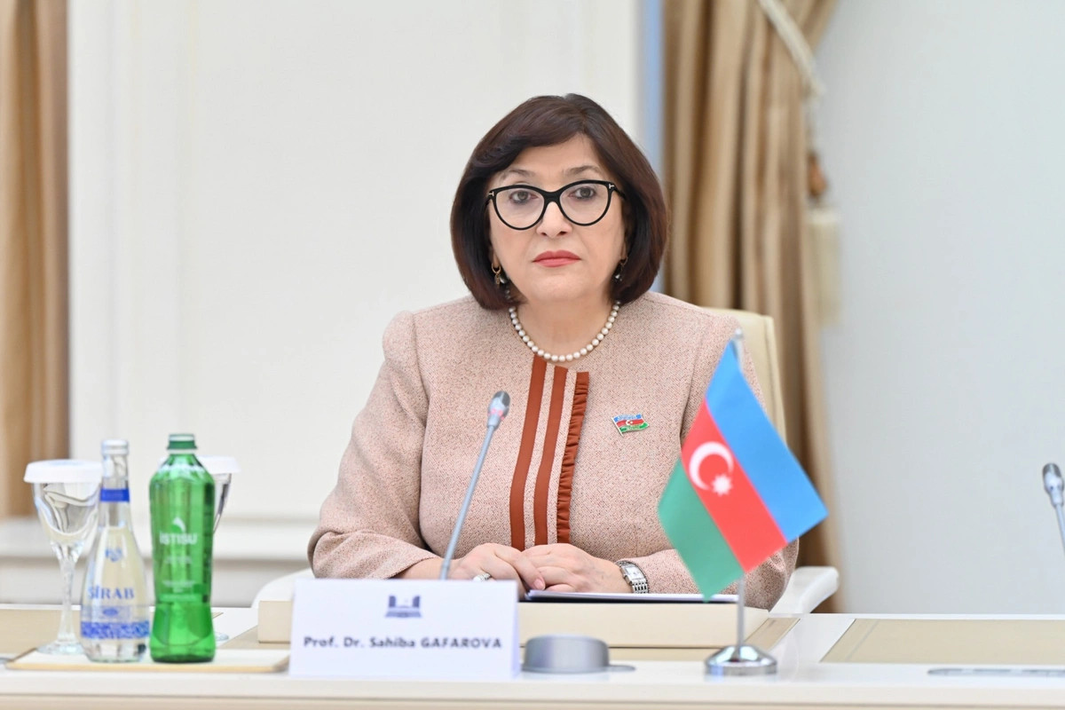 Azərbaycan–Monteneqro parlament əməkdaşlığında qarşılıqlı dəstəyin gücləndirilməsi vacibdir
