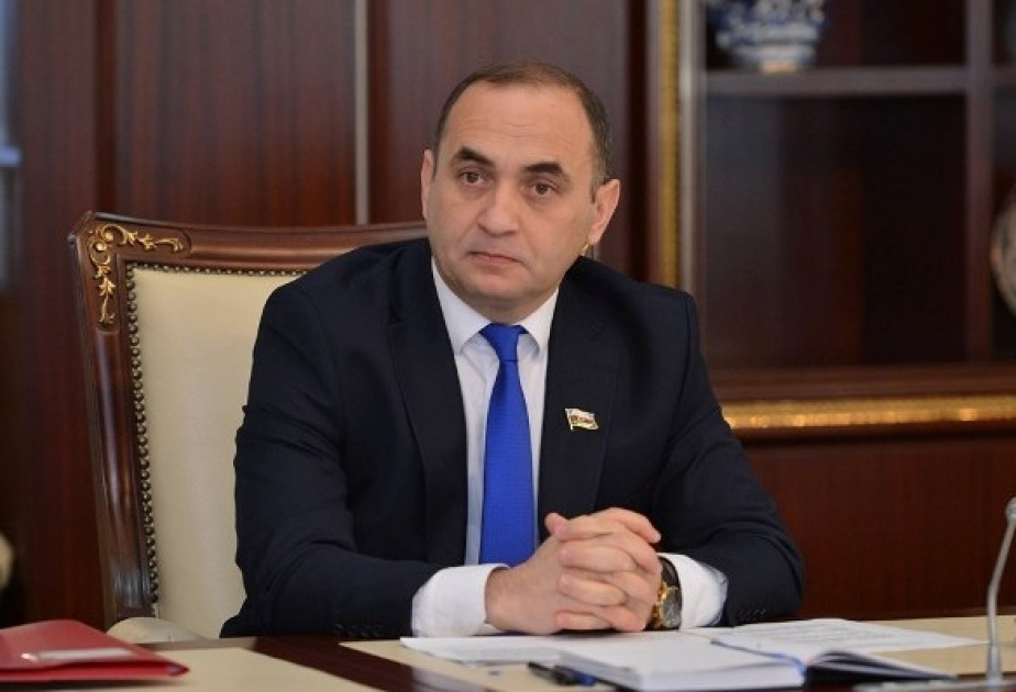 Xarici dövlətlər Azərbaycanın bu siyasətini yüksək qiymətləndirirlər-