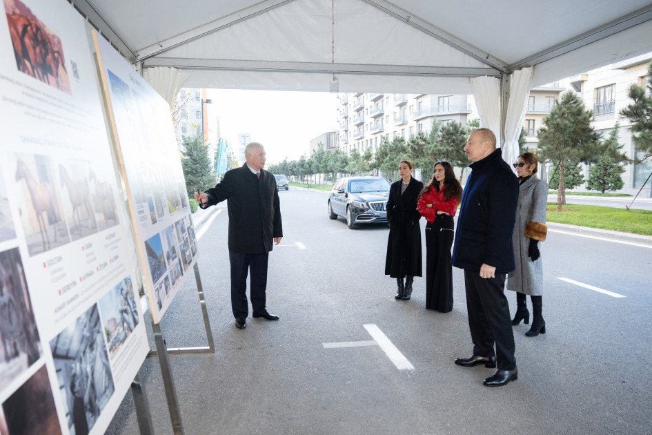 Prezident İlham Əliyev "Bakı Ağ Şəhər"də olub -