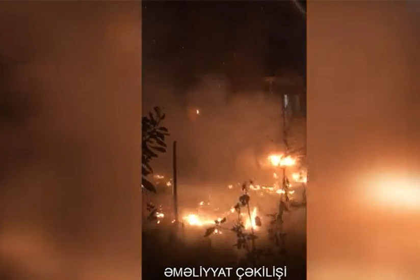 Bakıda ağaclıq sahədə baş verən yanğının qarşısı alınıb