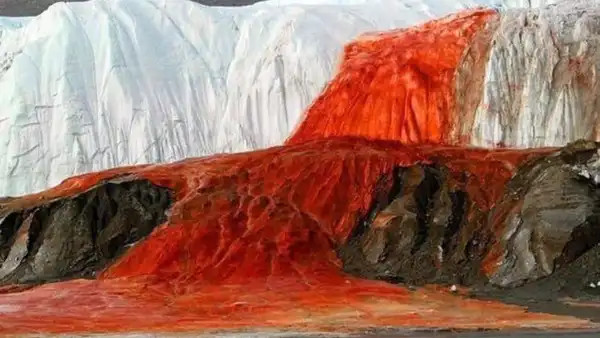 Antarktidada buzun içindən axan “qan”: Qanlı şəlalə