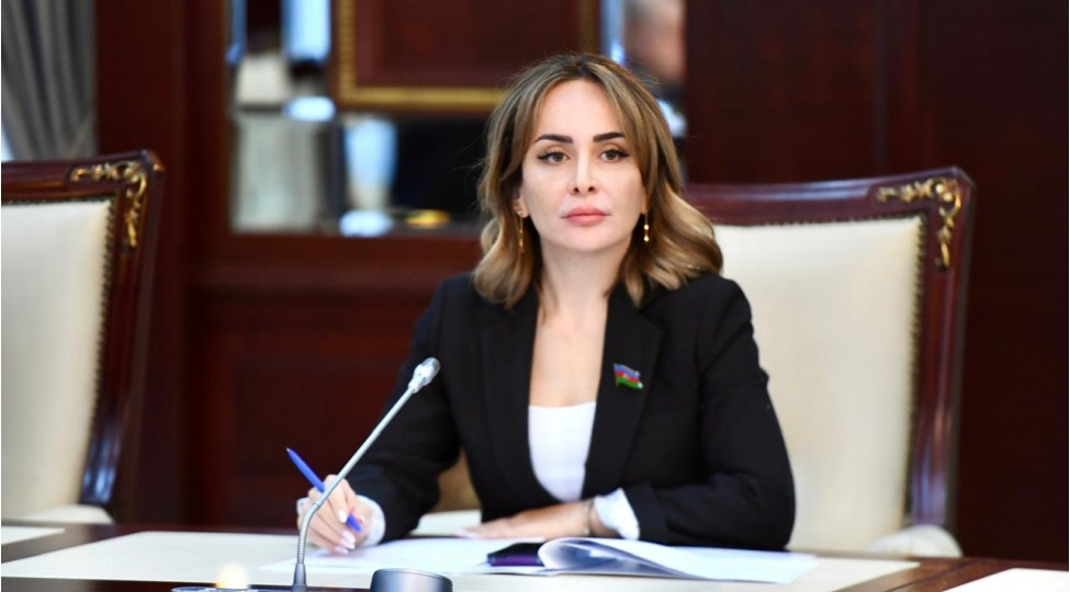 Erməni tarixçilər də daşnak hökumətinin törətdiyi soyqırımı etiraf edir