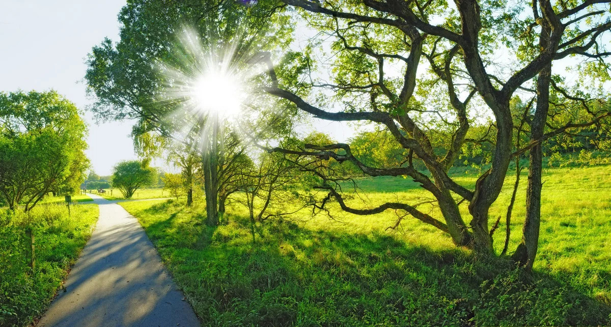 Aprel ayına olan hava proqnozu açıqlanıb