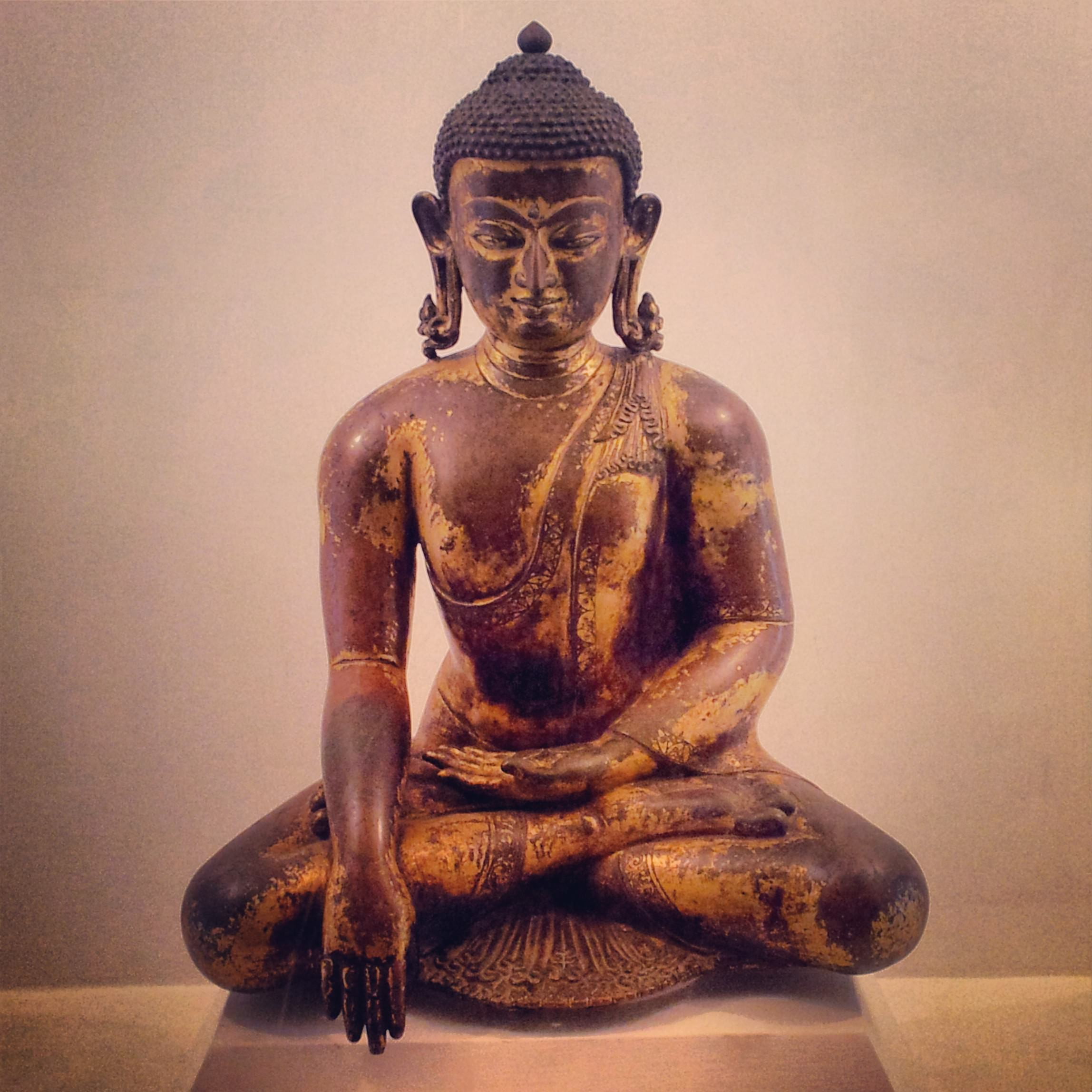 Siddhartha nə axtarırdı –
