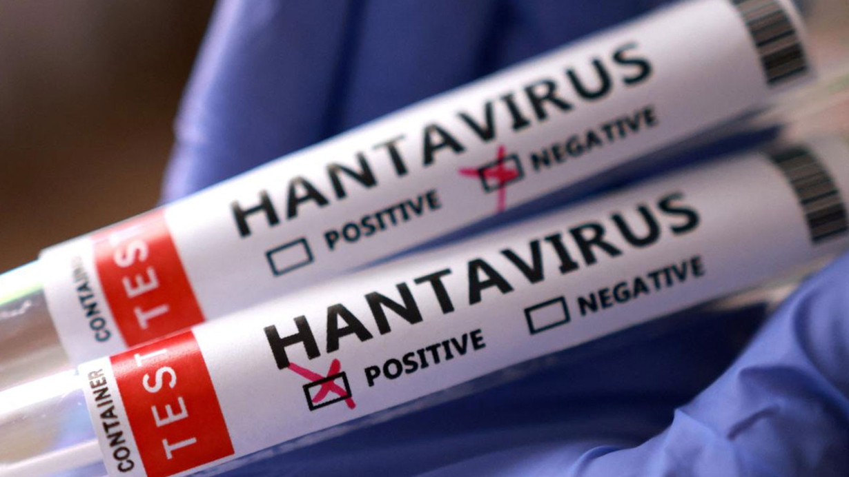 Hantavirus Türkiyəyə çatıb?