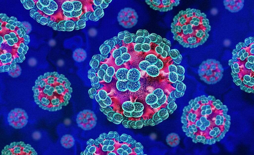 Bu dəfə hantavirus kabusu: Azərbaycana da gələ bilər