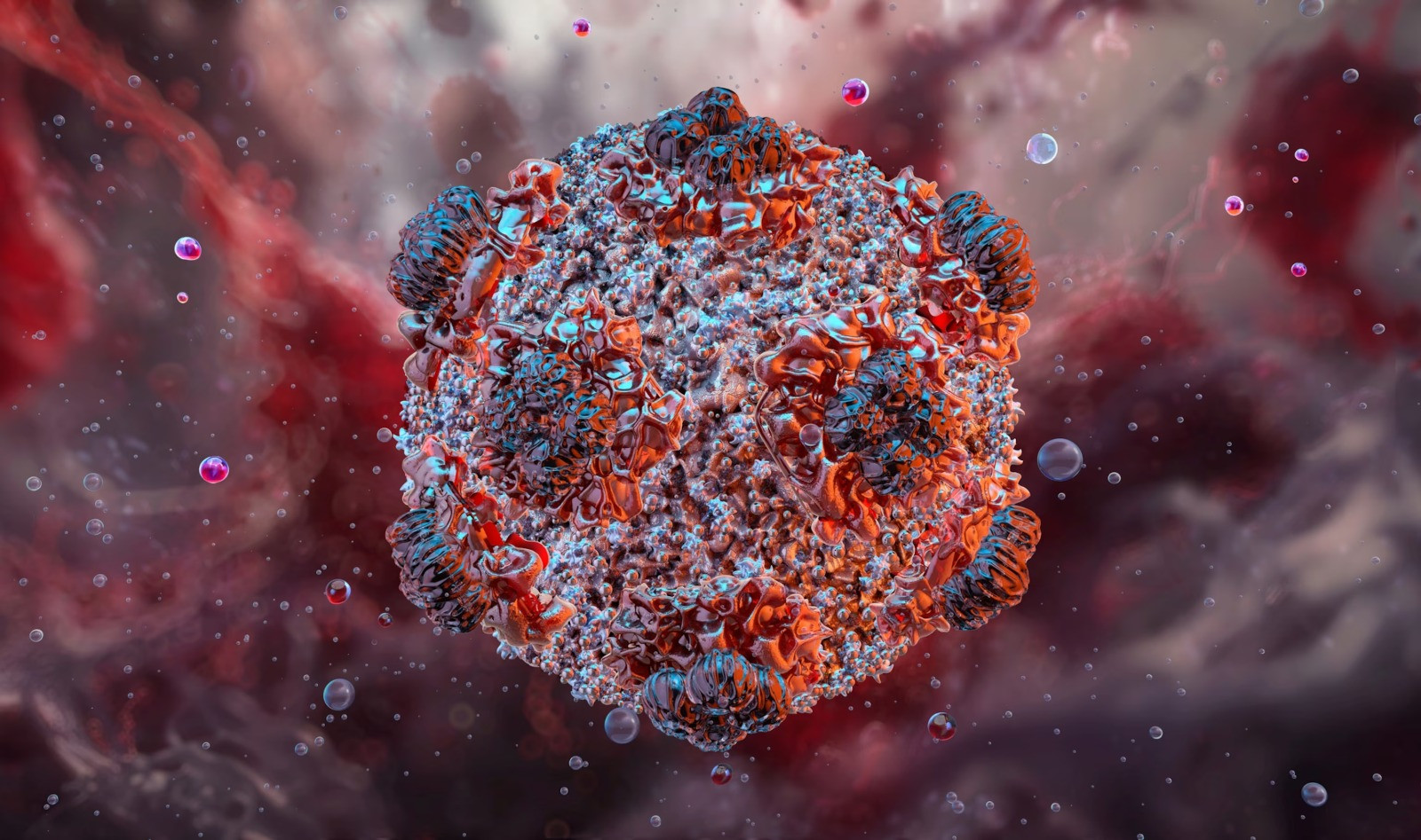 Hantavirus Ukraynada da yayılır
