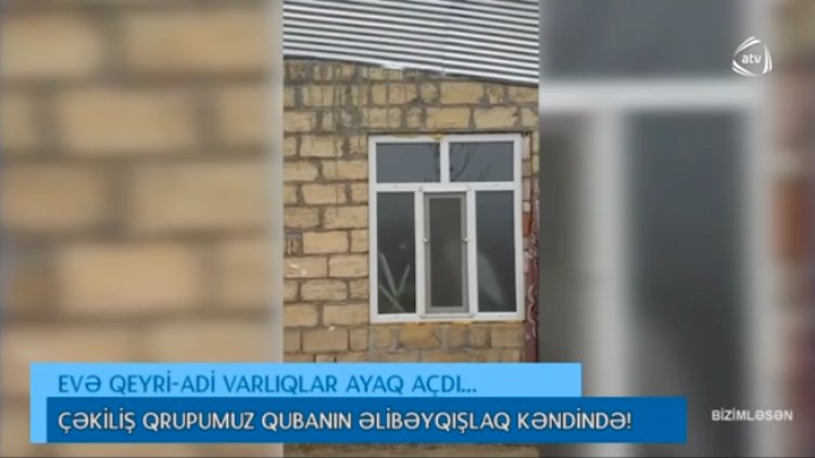 Qubada şok olay: sakinlər və axund qeyri-adi bu məxluqun tutulması üçün kömək istədi - VİDEO