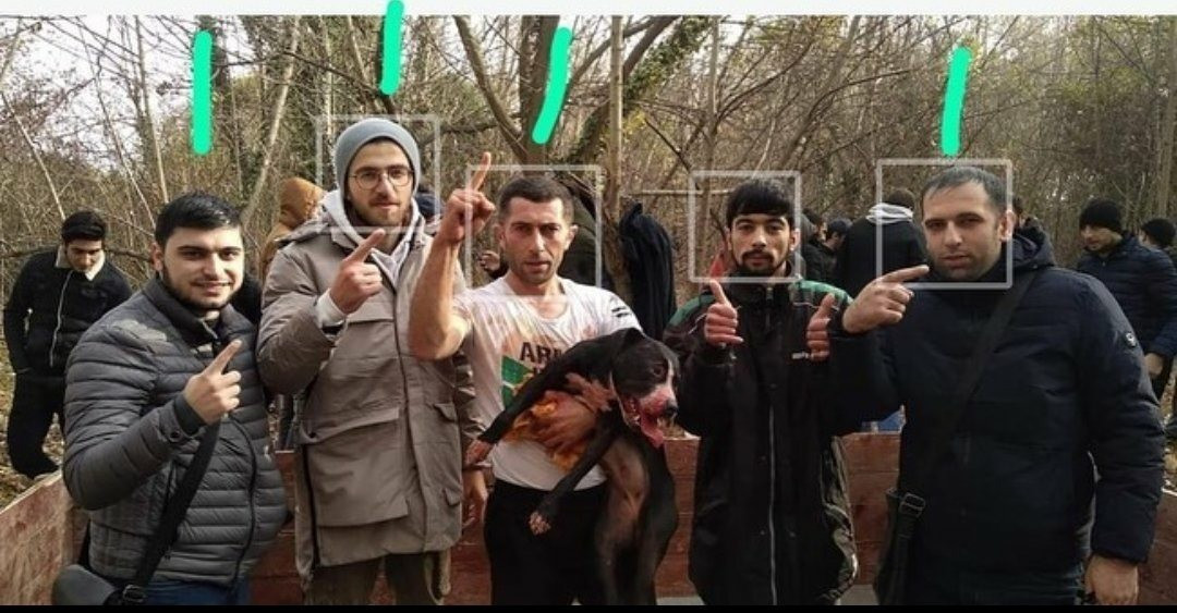 Azərbaycanda it döyüşləri təşkil edən şəxslərin kimliyi müəyyənləşdirilib - DİN-dən açıqlama + FOTO