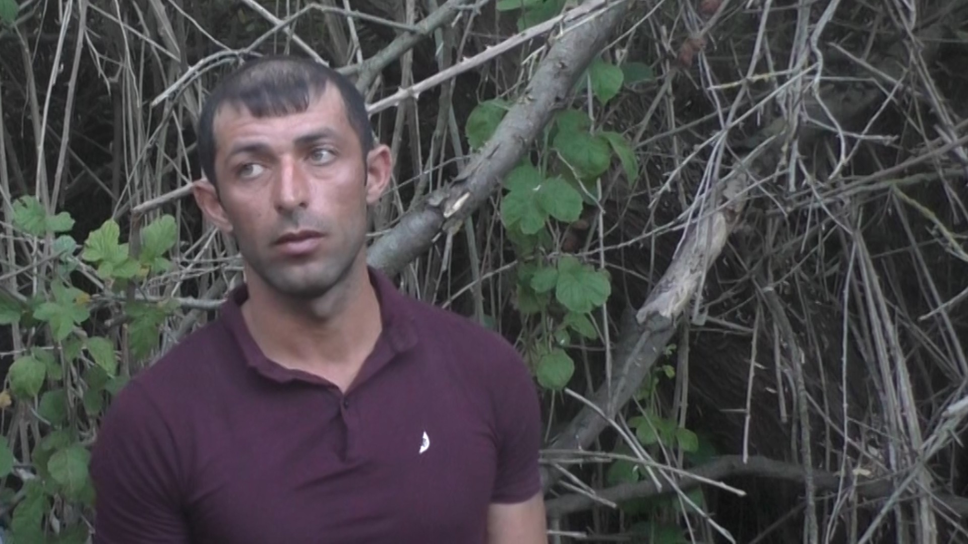 Salyanda narkotik bitki becərən şəxs tutuldu - FOTO