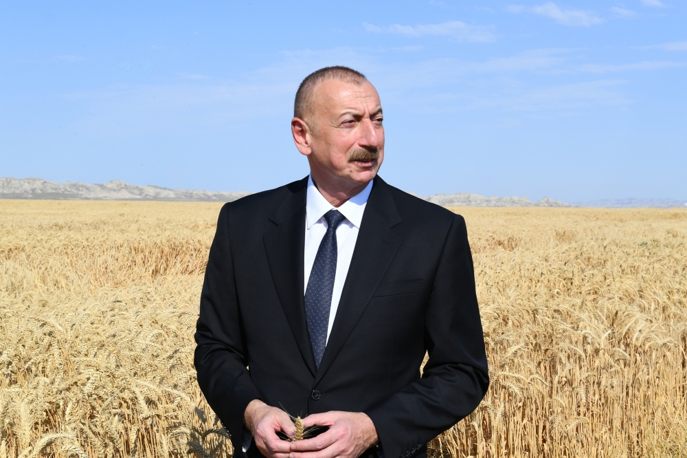 \"Əfsuslar olsun ki, biz elə yerində sayırıq\" - Prezidentin dünənki müşavirəsi və... (TƏHLİL)