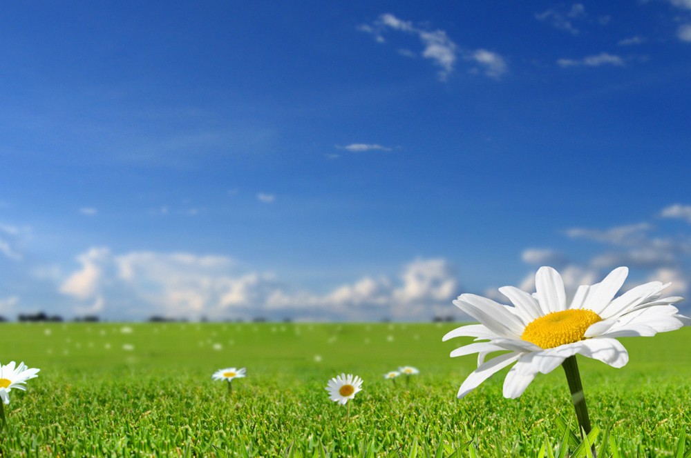 Bazar günü 40 dərəcəyədək isti olacaq