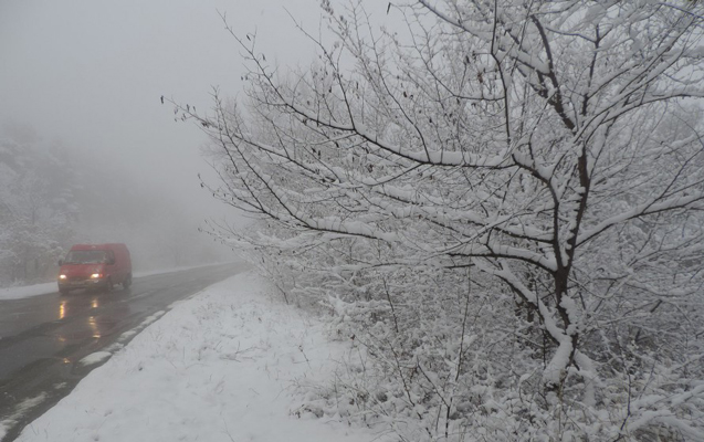 Şuşada köməksiz vəziyyətdə qalanlar xilas edilib