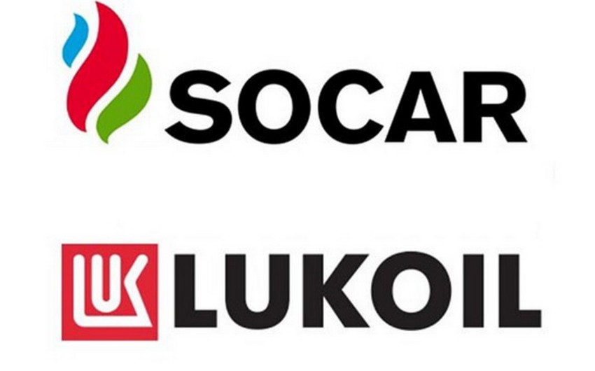 Rövnəq Abdullayev Vahid Ələkbərovla görüşdü -&nbsp;SOCAR-la&nbsp;&ldquo;LUKoil&rdquo; arasında əməkdaşlıq&nbsp;genişləndiriləcək