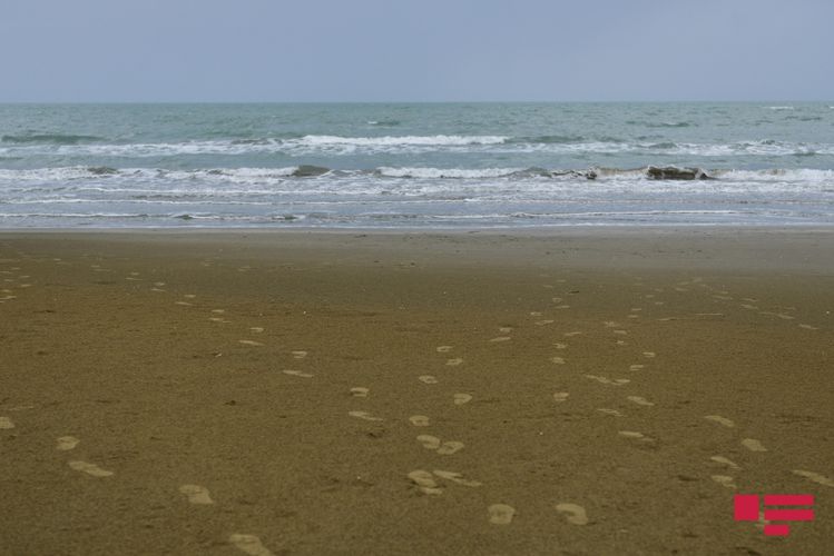 Dövlət qurumları Xəzərdə birgə monitorinq keçirib