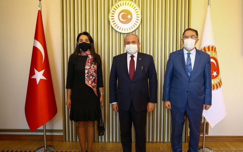 Səbinə Əliyeva Türkiyə parlamentinin sədri ilə görüşüb - FOTO