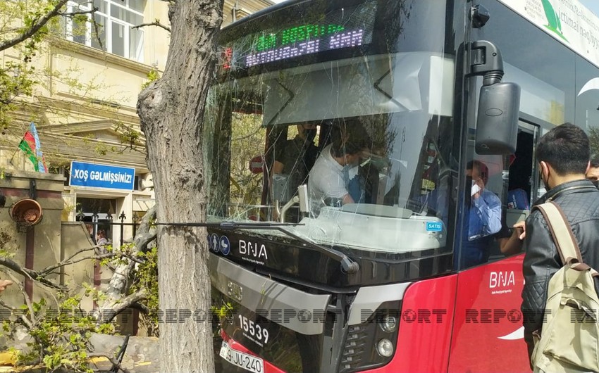 &ldquo;BakuBus&rdquo;un avtobusu ağaca çırpılıb, xəsarət alanlar var - FOTOLAR