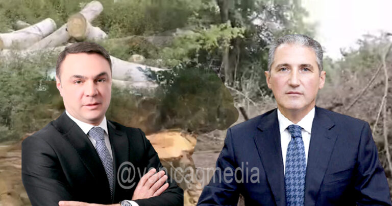 Deputatın viran qoyduğu Azərbaycan meşələri:&nbsp;Muxtar Babayev Eldəniz Səlimovun &ldquo;ekoloji terror&rdquo;una niyə göz yumur? -&nbsp;VİDEO