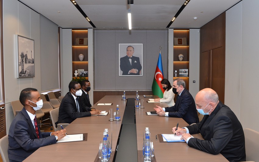 Ceyhun Bayramov Britaniya nümayəndə heyəti ilə görüşüb