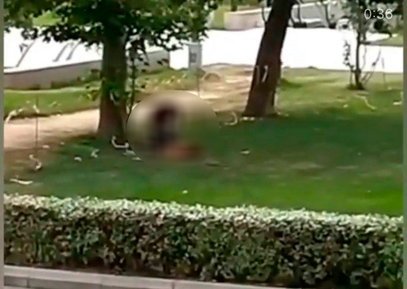 Bakıda parkda əxlaqsız hərəkət: DİN və qadından açıqlamalar + VİDEO