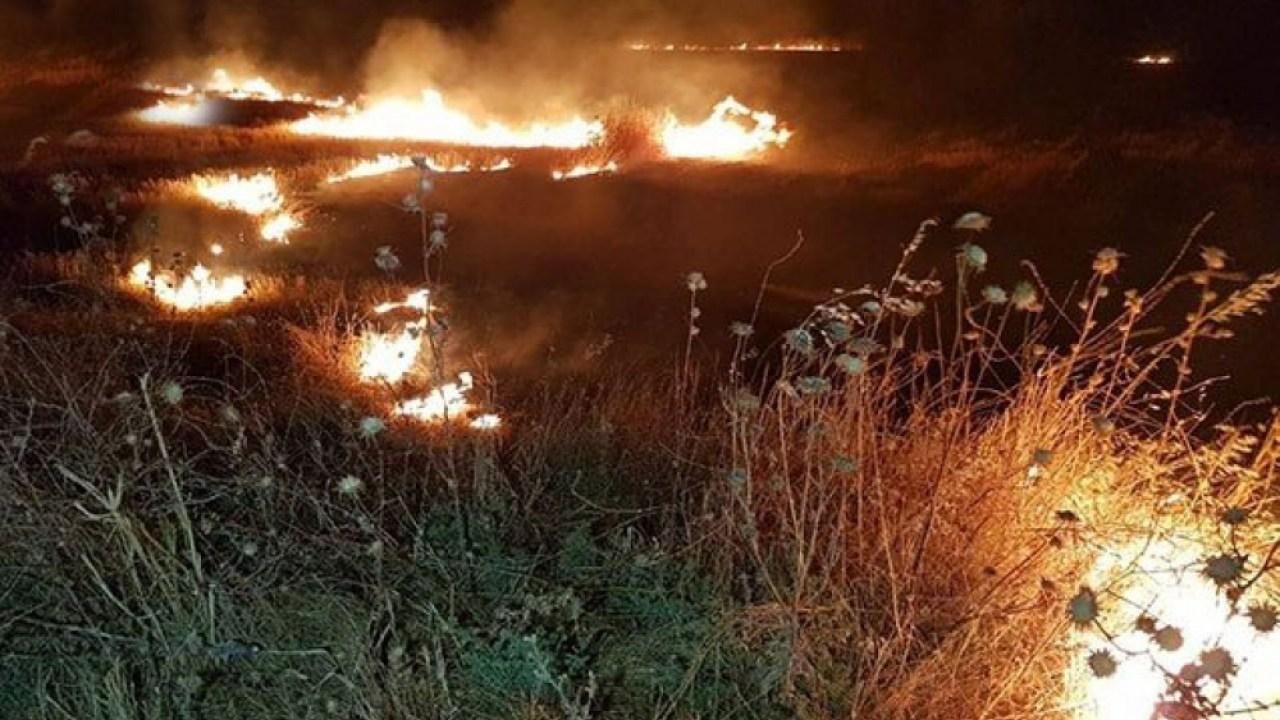 Ağsudakı yanğın&nbsp;Şamaxı rayonuna keçib - Xəbər yenilənib