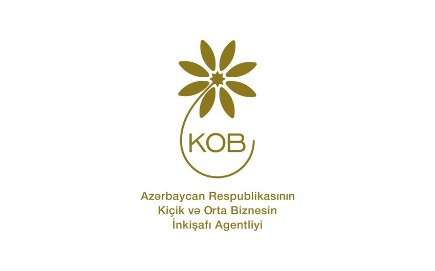 PREZİDENT BU AGENTLİYƏ ƏLAVƏ SƏLAHİYYƏT VERDİ - Detallar