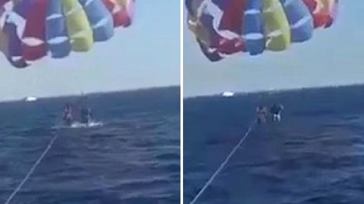 Dənizdə paraşütlə üzən turist köpək balığının hücumuna məruz qalıb: "Ayağının ətini qoparıb..."