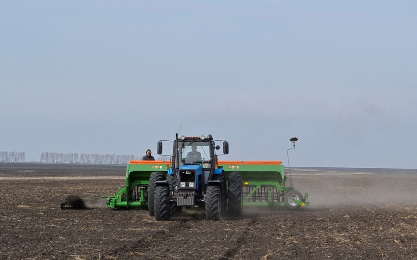 Aqrar təyinatlı torpaqlarda tikililərlə bağlı yeni qayda&nbsp;qəbul edildi - Nələr olacaq?