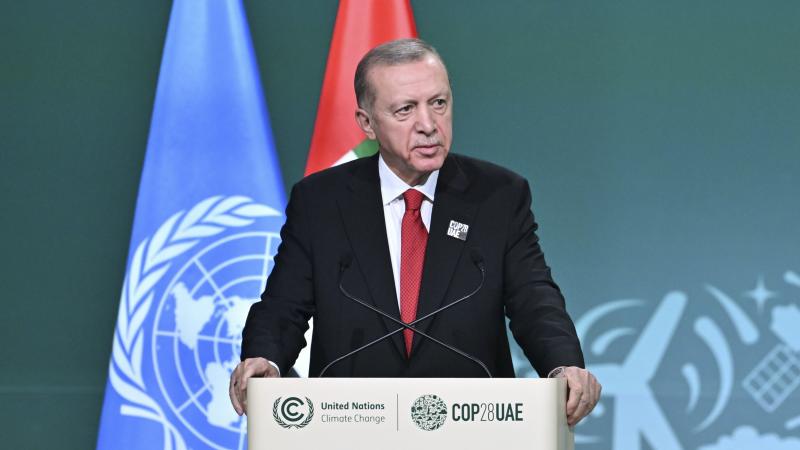 Ərdoğan sammitdə: "Qəzzada baş verənlər müharibə cinayətidir"