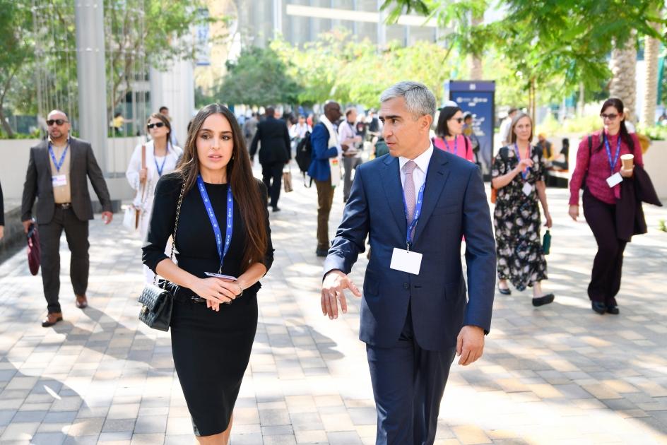 Leyla Əliyeva Dubayda panel iclasda - FOTOLAR