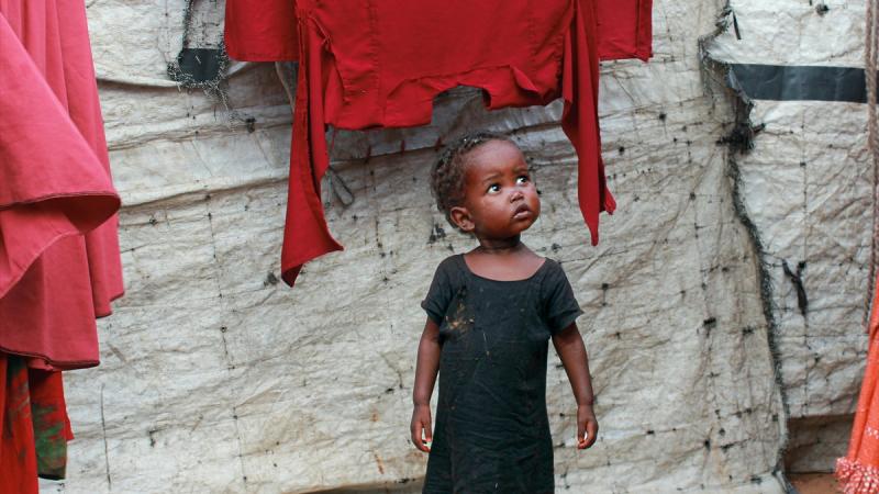 BMT-dən xəbərdarlıq: "Sudanda 25 milyon insan aclıqdan əziyyət çəkir"